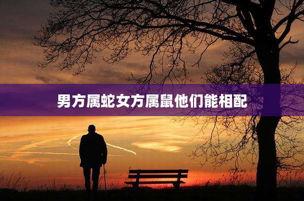 男方属蛇女方属鼠他们能相配