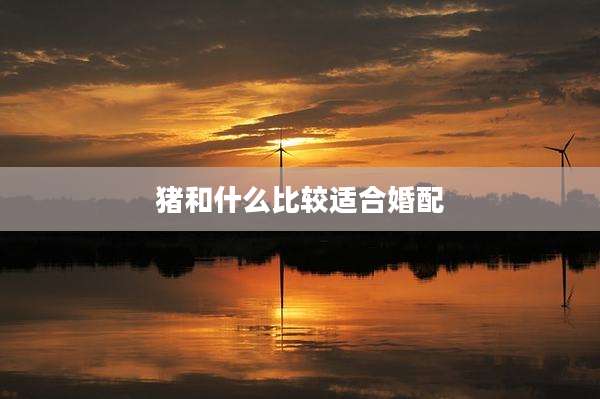 猪和什么比较适合婚配