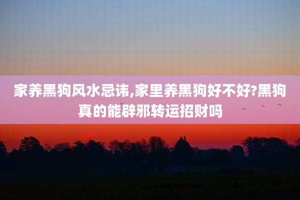 家养黑狗风水忌讳,家里养黑狗好不好?黑狗真的能辟邪转运招财吗