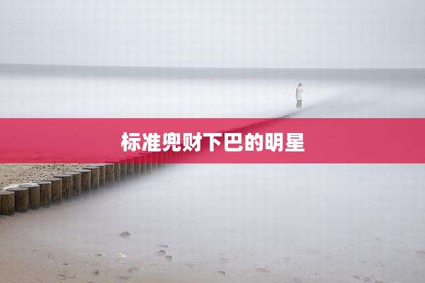 标准兜财下巴的明星