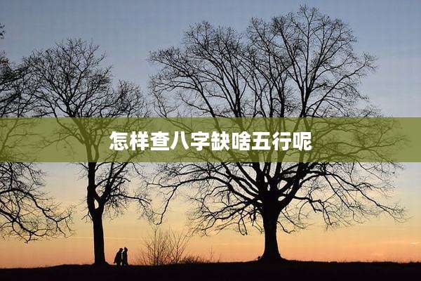 怎样查八字缺啥五行呢