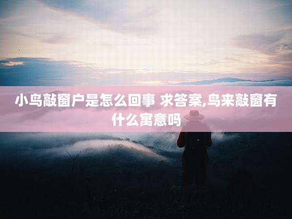 小鸟敲窗户是怎么回事 求答案,鸟来敲窗有什么寓意吗