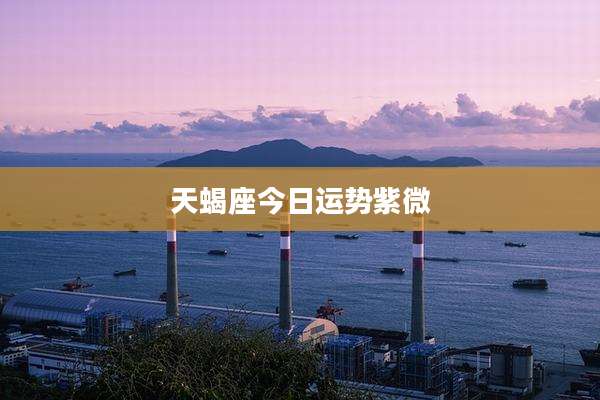 天蝎座今日运势紫微