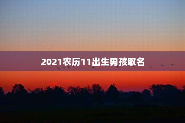 2021农历11出生男孩取名