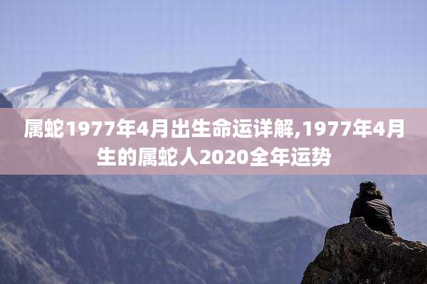 属蛇1977年4月出生命运详解,1977年4月生的属蛇人2020全年运势