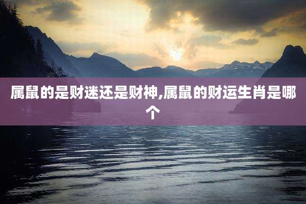 属鼠的是财迷还是财神,属鼠的财运生肖是哪个