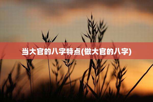 当大官的八字特点(做大官的八字)
