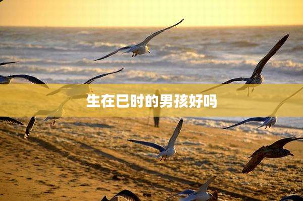 生在巳时的男孩好吗