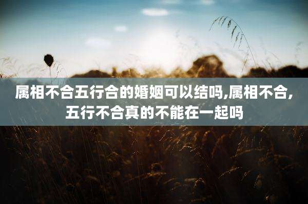 属相不合五行合的婚姻可以结吗,属相不合,五行不合真的不能在一起吗