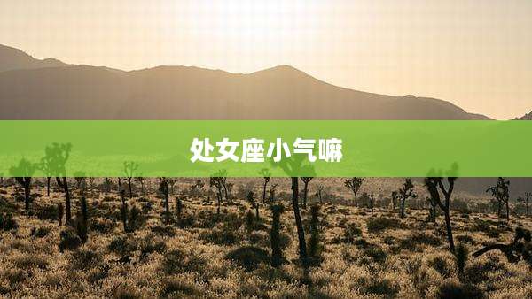 处女座小气嘛