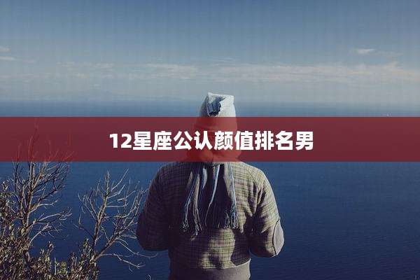 12星座公认颜值排名男