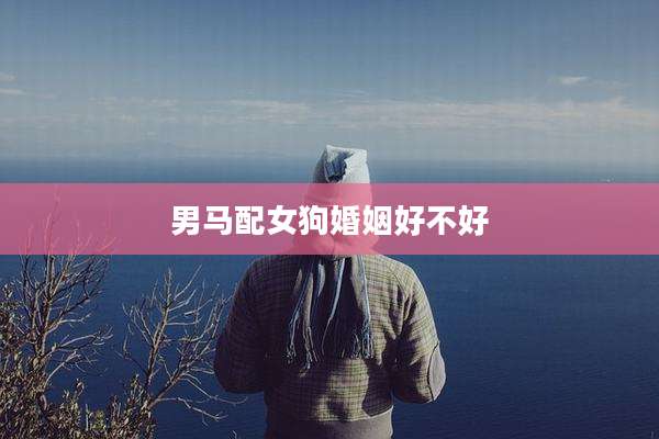 男马配女狗婚姻好不好