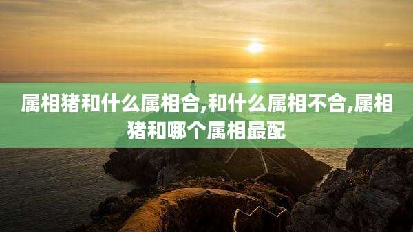 属相猪和什么属相合,和什么属相不合,属相猪和哪个属相最配