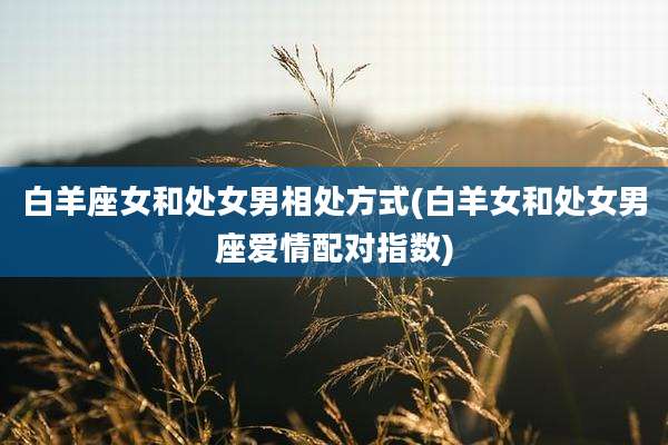 白羊座女和处女男相处方式(白羊女和处女男座爱情配对指数)