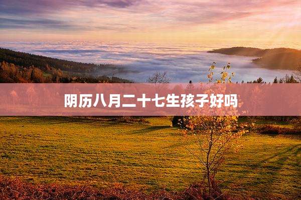 阴历八月二十七生孩子好吗