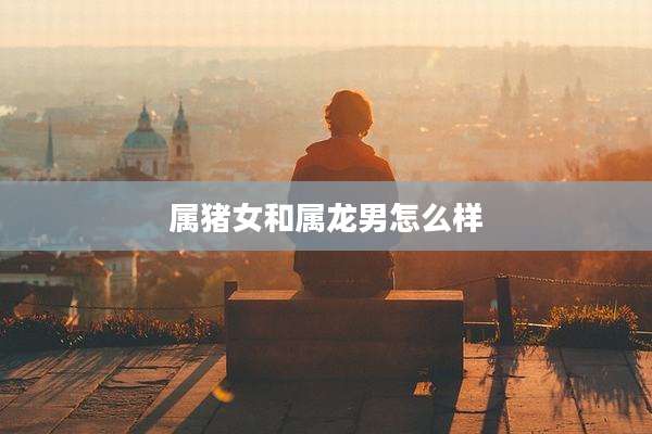 属猪女和属龙男怎么样
