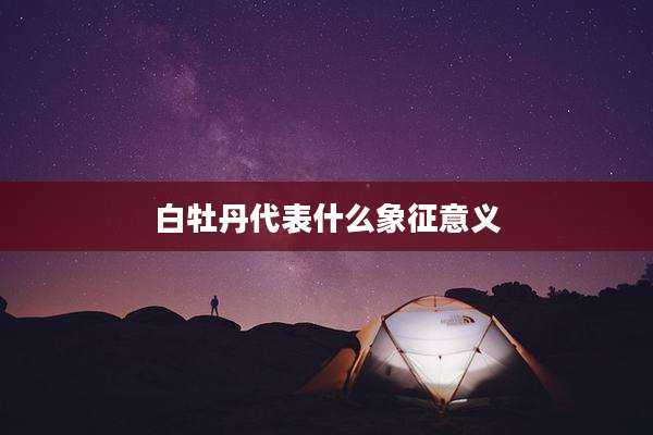 白牡丹代表什么象征意义