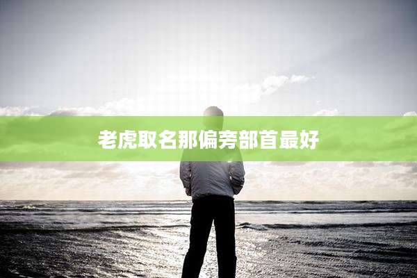 老虎取名那偏旁部首最好