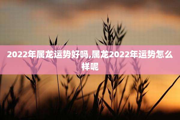 2022年属龙运势好吗,属龙2022年运势怎么样呢