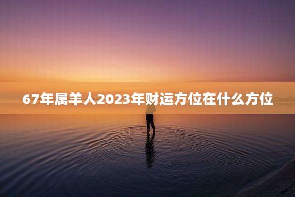 67年属羊人2023年财运方位在什么方位