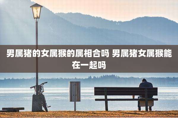 男属猪的女属猴的属相合吗 男属猪女属猴能在一起吗