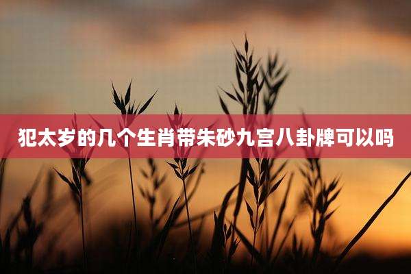 犯太岁的几个生肖带朱砂九宫八卦牌可以吗