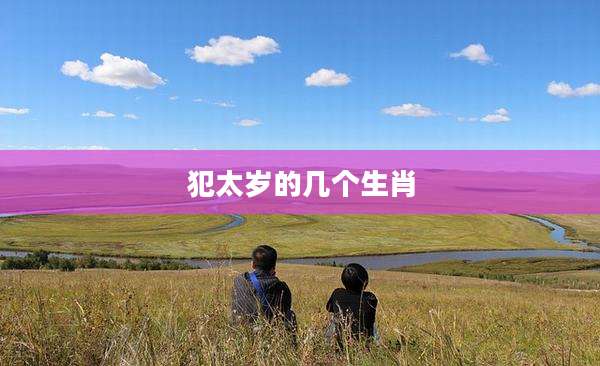 犯太岁的几个生肖