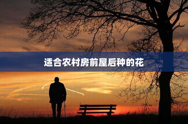 适合农村房前屋后种的花