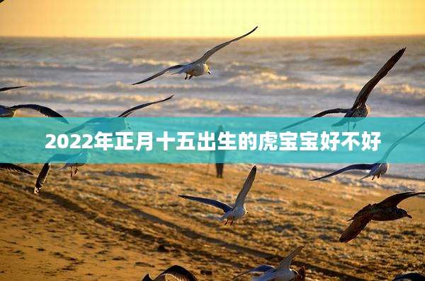 2022年正月十五出生的虎宝宝好不好
