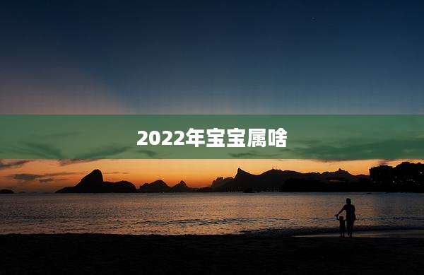 2022年宝宝属啥