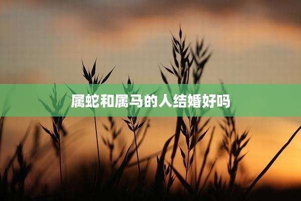 属蛇和属马的人结婚好吗