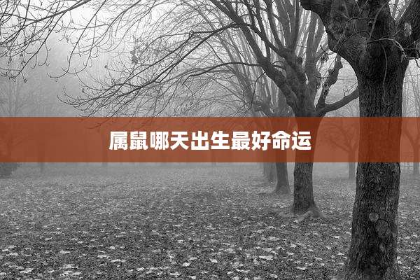 属鼠哪天出生最好命运