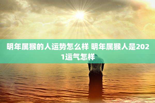 明年属猴的人运势怎么样 明年属猴人是2021运气怎样