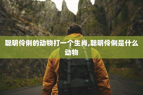 聪明伶俐的动物打一个生肖,聪明伶俐是什么动物