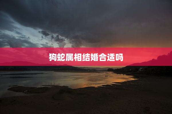 狗蛇属相结婚合适吗