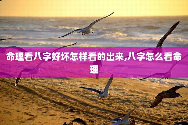 命理看八字好坏怎样看的出来,八字怎么看命理