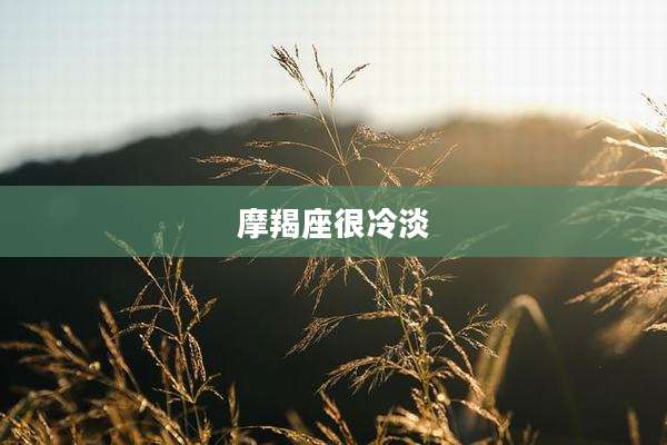 摩羯座很冷淡