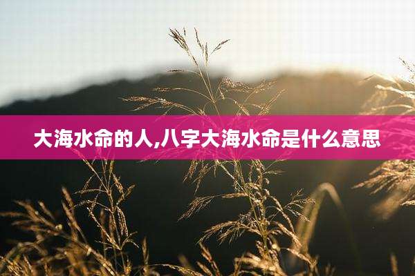 大海水命的人,八字大海水命是什么意思
