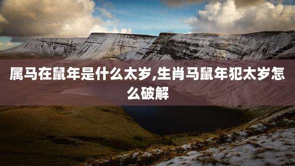 属马在鼠年是什么太岁,生肖马鼠年犯太岁怎么破解