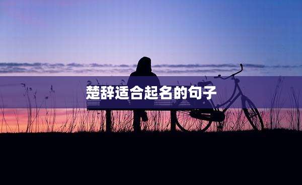 楚辞适合起名的句子