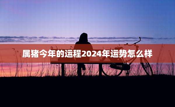属猪今年的运程2024年运势怎么样