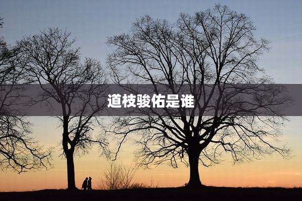 道枝骏佑是谁