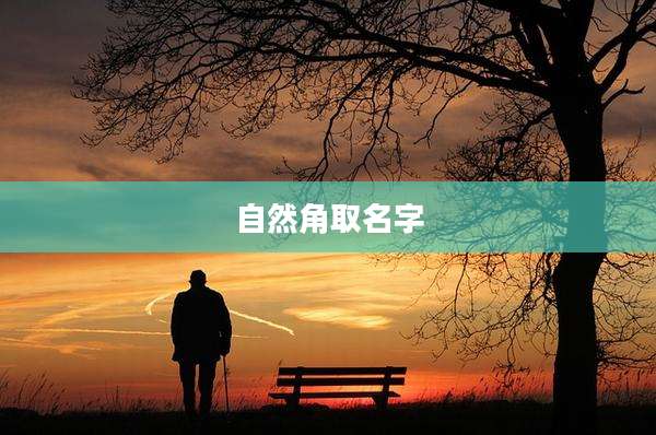 自然角取名字