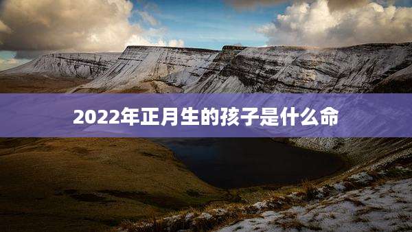 2022年正月生的孩子是什么命