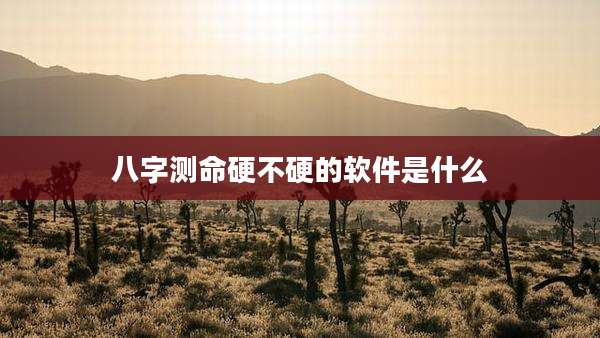 八字测命硬不硬的软件是什么