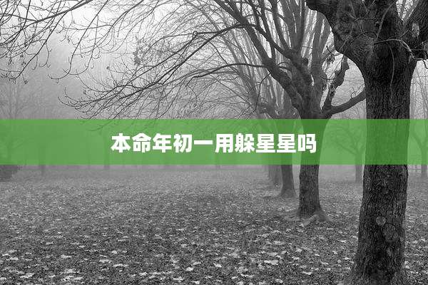 本命年初一用躲星星吗
