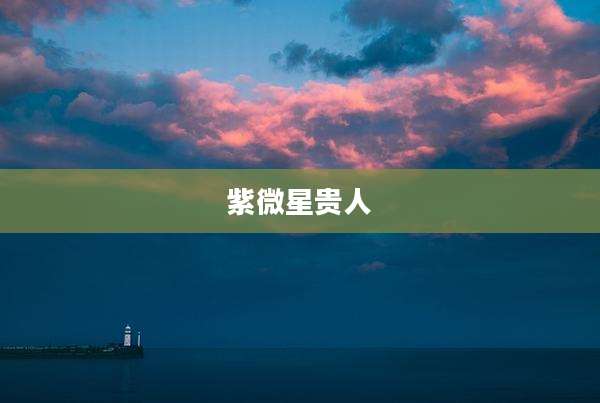 紫微星贵人
