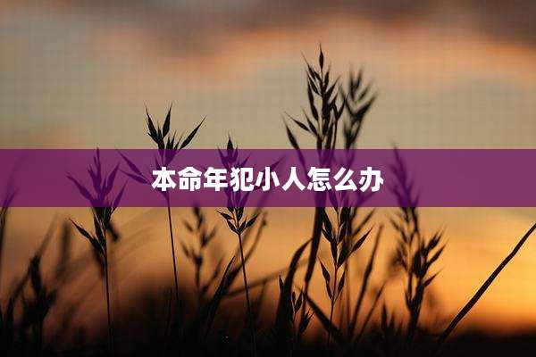 本命年犯小人怎么办