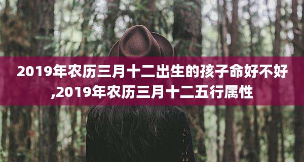 2019年农历三月十二出生的孩子命好不好,2019年农历三月十二五行属性