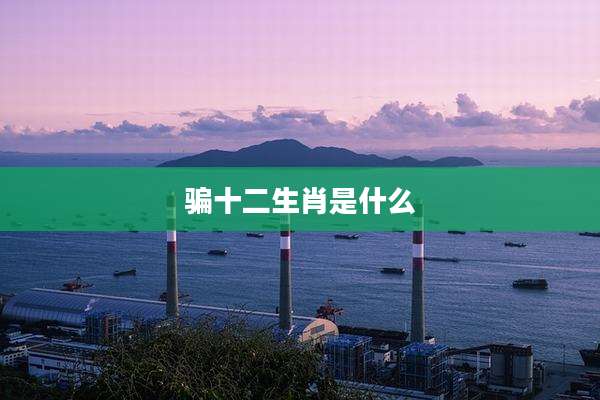 骗十二生肖是什么